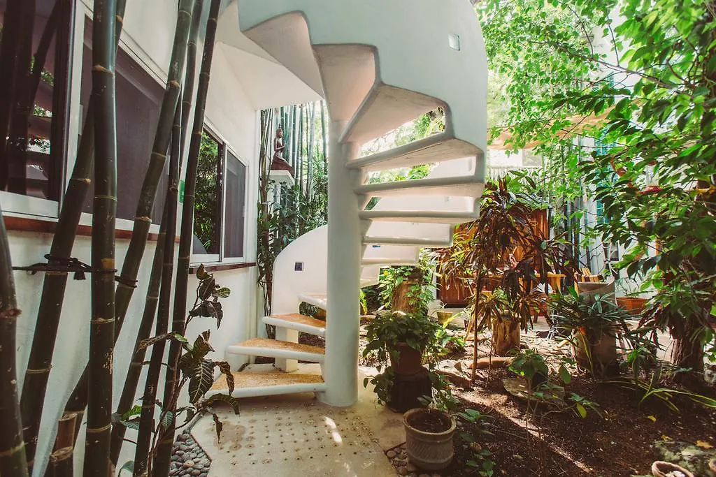 Mi Sagrado Eco Boutique Otel Tulum Meksika