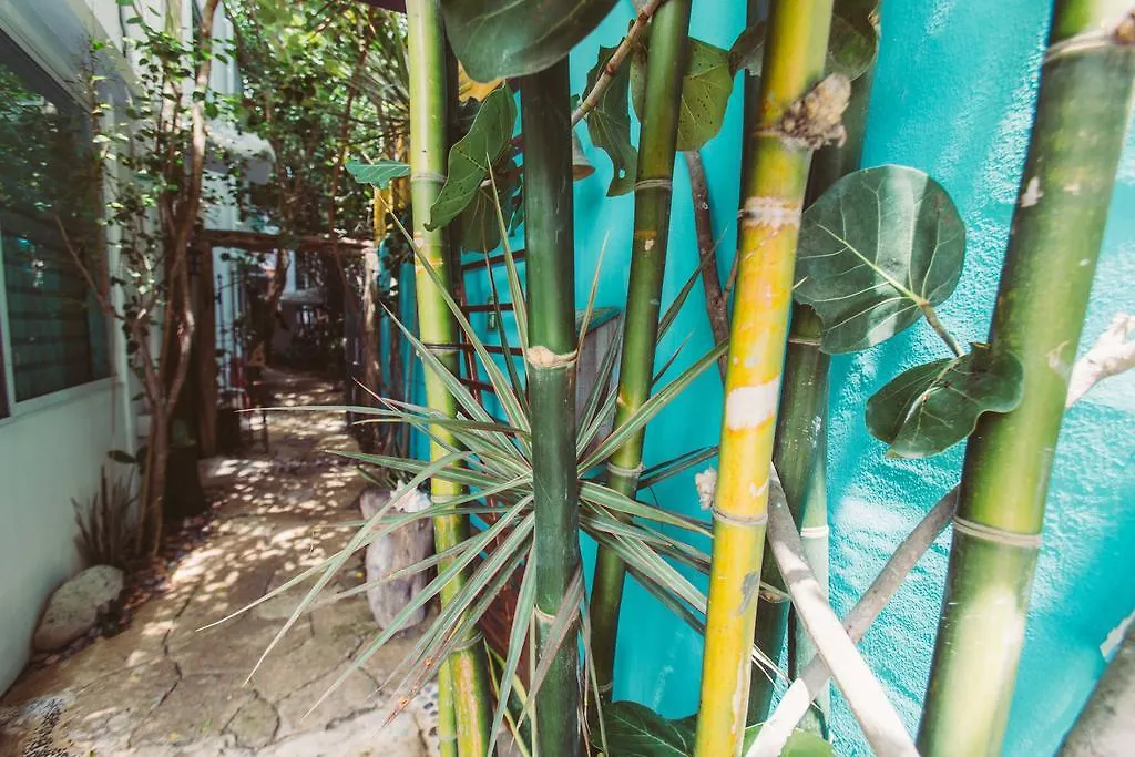 Apartmán Hotel Mi Sagrado Eco Boutique Tulum Mexiko